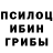 Галлюциногенные грибы GOLDEN TEACHER Sylka Aegus
