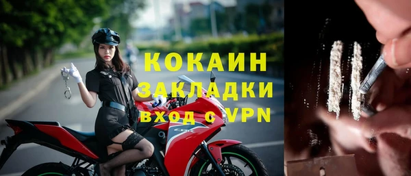 прущая мука Арсеньев
